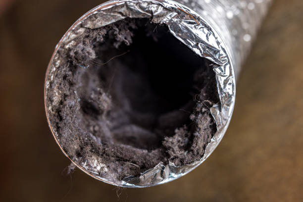 Best Local Air Duct Cleaning Services  in Camp Wood, TX
