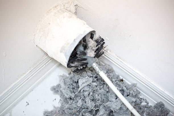 Best Local Air Duct Cleaning Services  in Camp Wood, TX